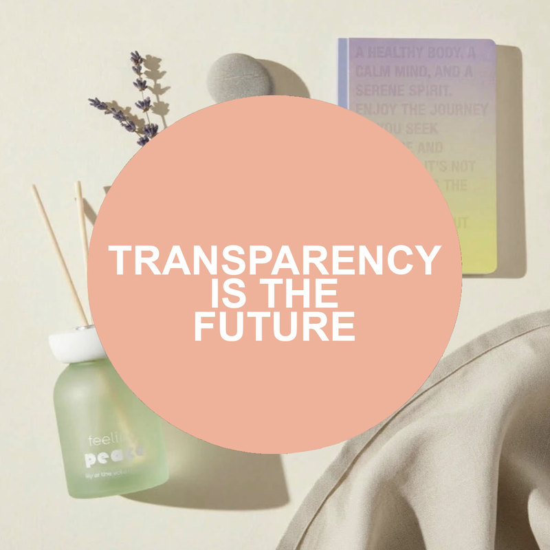 Home decor scene with reed diffuser, dried lavender, inspirational notebook and soft fabric with Transparency Is the Future text overlay