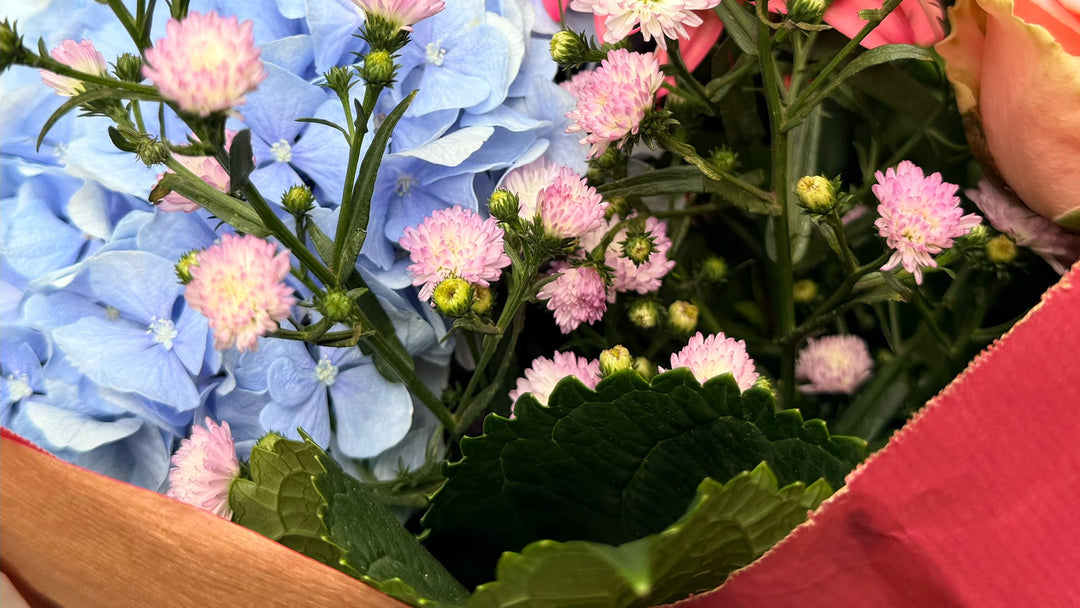 A close-up of a floral arrangement featuring light blue hydrangeas, pink daisy-like flowers, green leaves, and a pink rose bud wrapped in red paper.