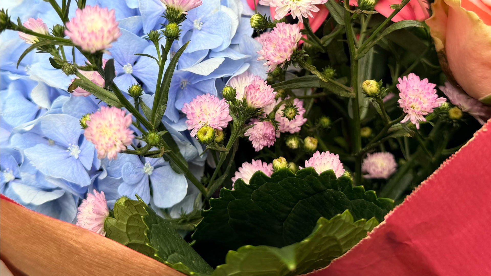 A close-up of a floral arrangement featuring light blue hydrangeas, pink daisy-like flowers, green leaves, and a pink rose bud wrapped in red paper.