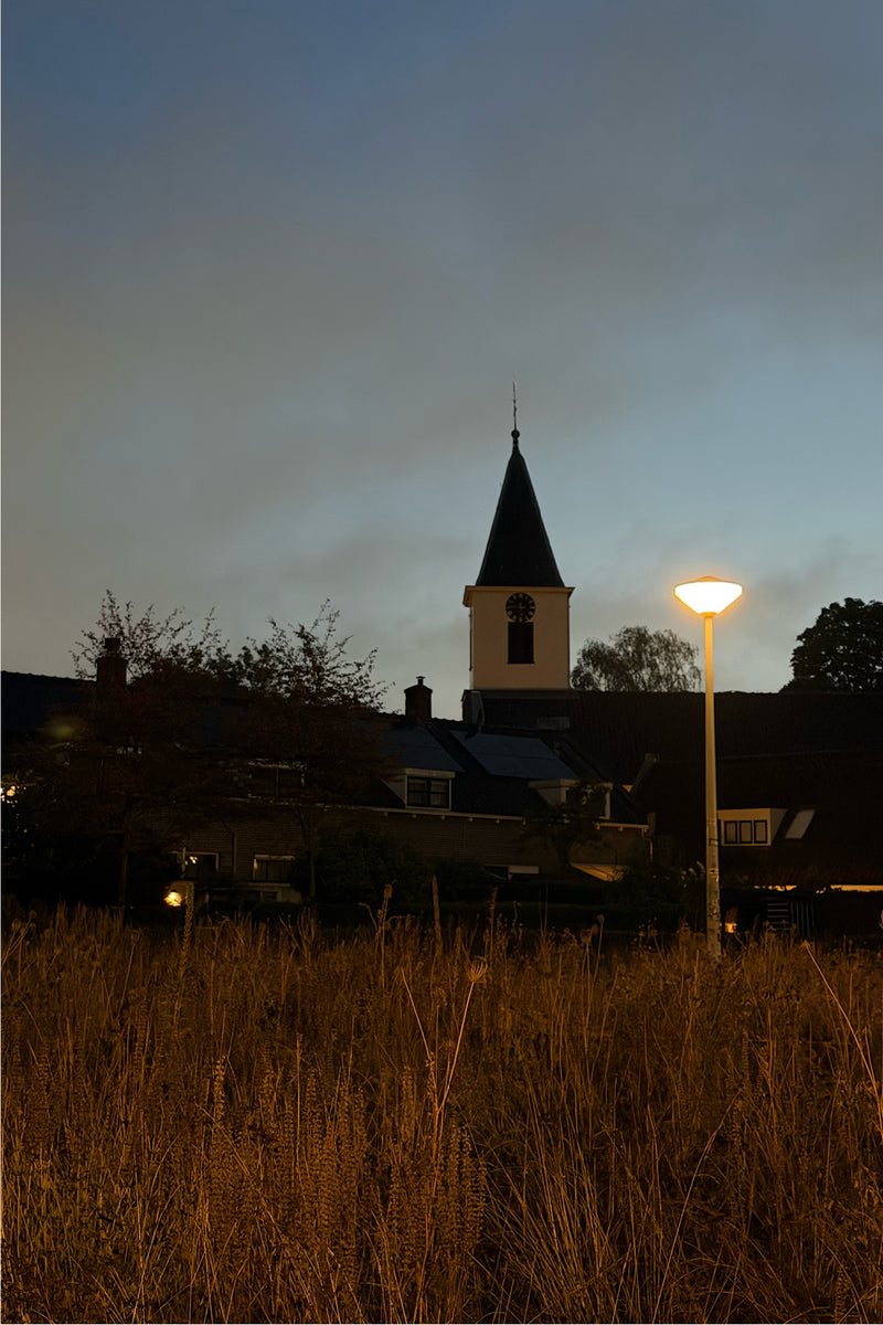 A tall outdoor street lamp glowing on the right, with a church tower and dark buildings in the background under a dusky blue sky, and dry golden grass in the foreground.