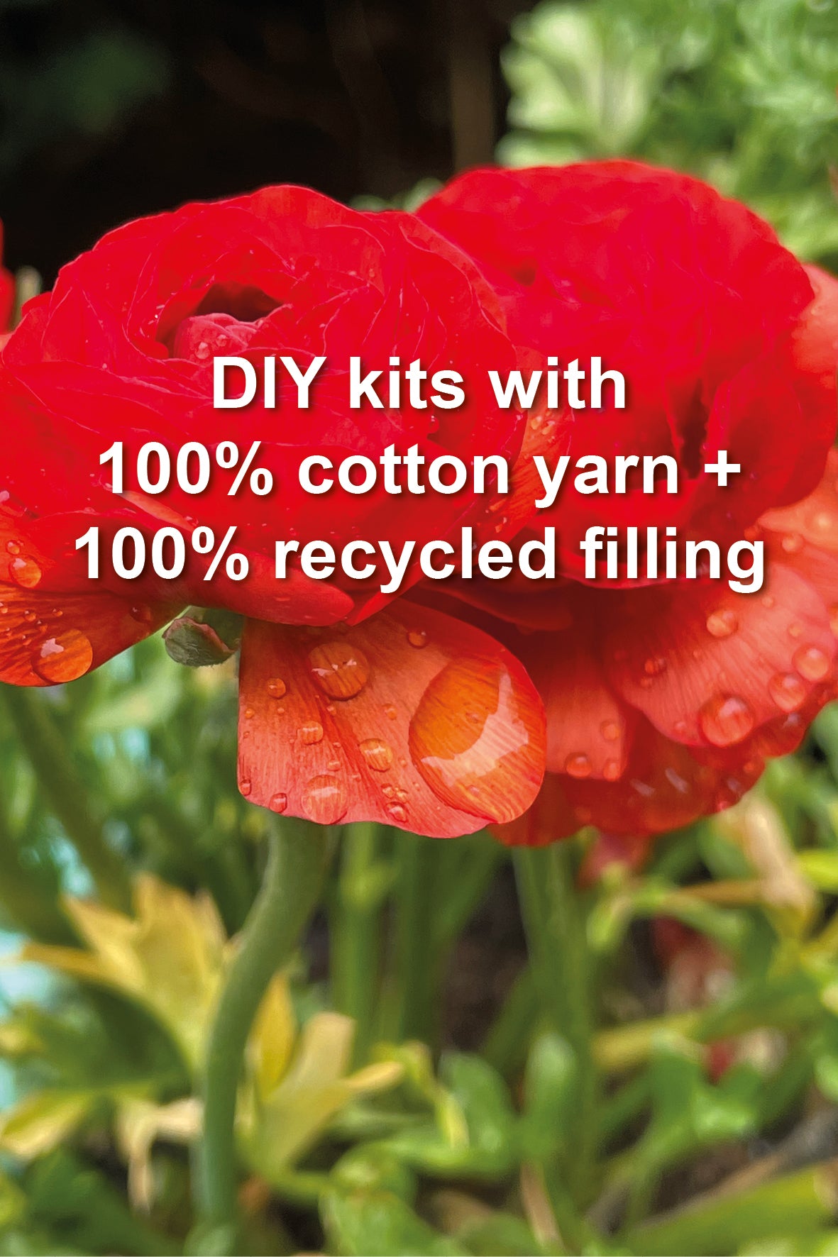 A close-up of a bright red flower with water droplets and large white text overlaid that reads, 'DIY kits with 100% cotton yarn + 100% recycled filling.' The background is a blurred green garden setting.