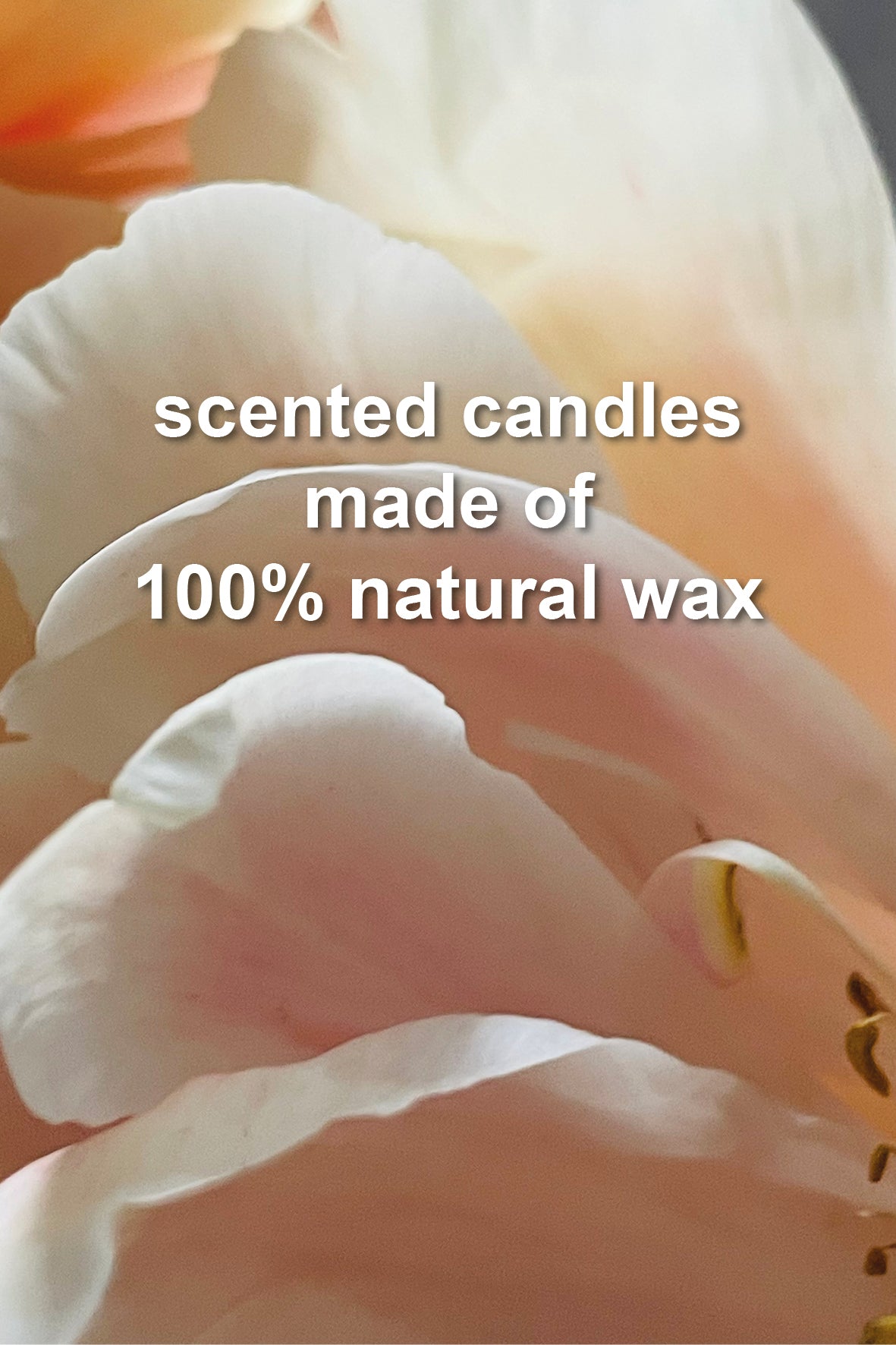 Close-up of soft peach and cream flower petals with overlaid text reading 'scented candles made of 100% natural wax'.