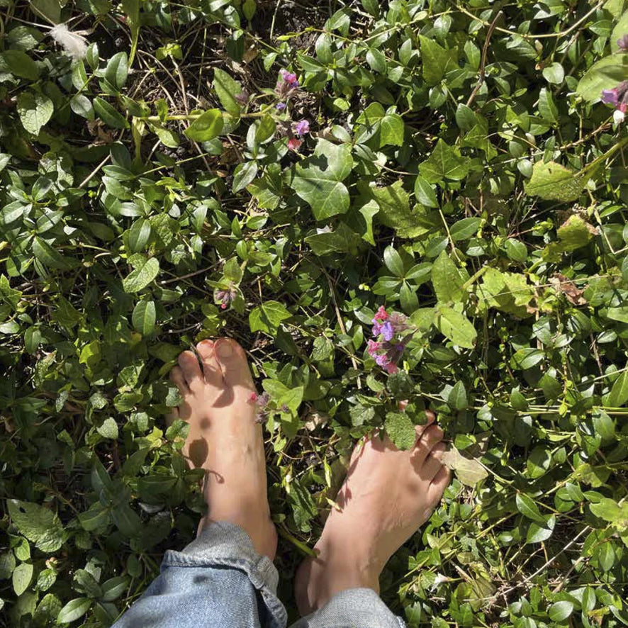 A top-down view of bare feet standing in green grass and small purple flowers, with the lower legs of light blue denim jeans visible at the bottom.