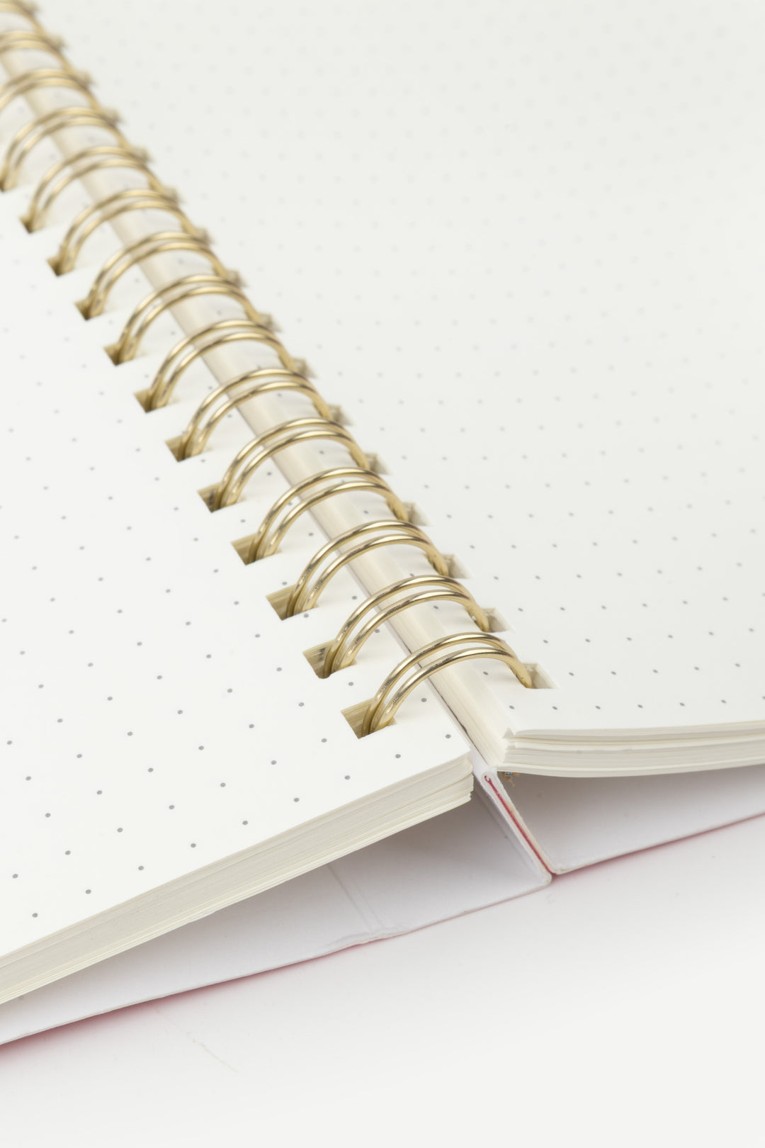 Close-up of a spiral-bound notebook with dotted white pages 