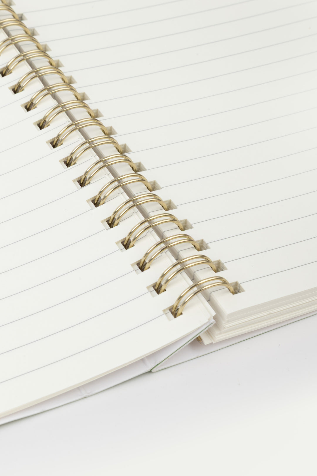 close-up of metal ring binding with white lined pages in an open notebook