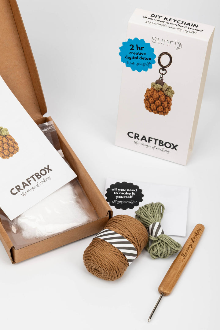 Craft kit with yarn, crochet hook, and pineapple keychain packaging on a white background