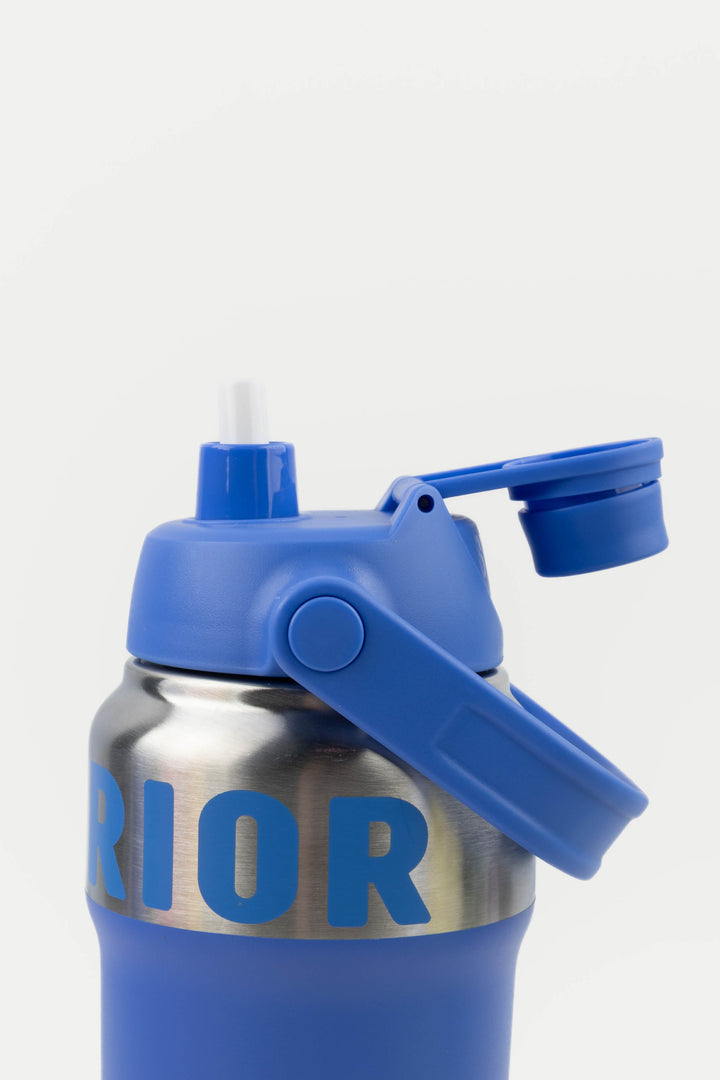Blue and silver water bottle with straw lid 