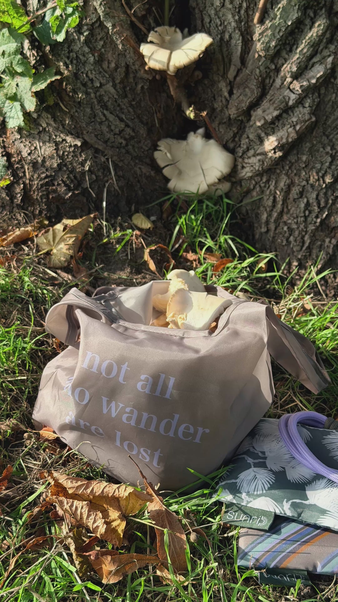 A video of a o go bags showing outside in a forrest picking and gathering mushrooms.